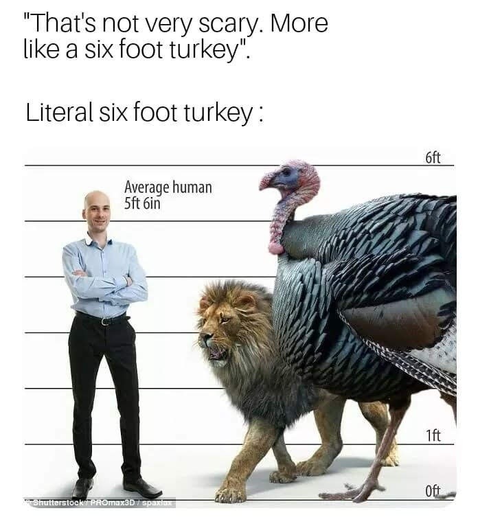 It’s just a six-foot turkey… until it’s in front of you - meme