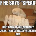 Bark! Don't speak