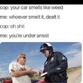 How to turn the situation with a cop