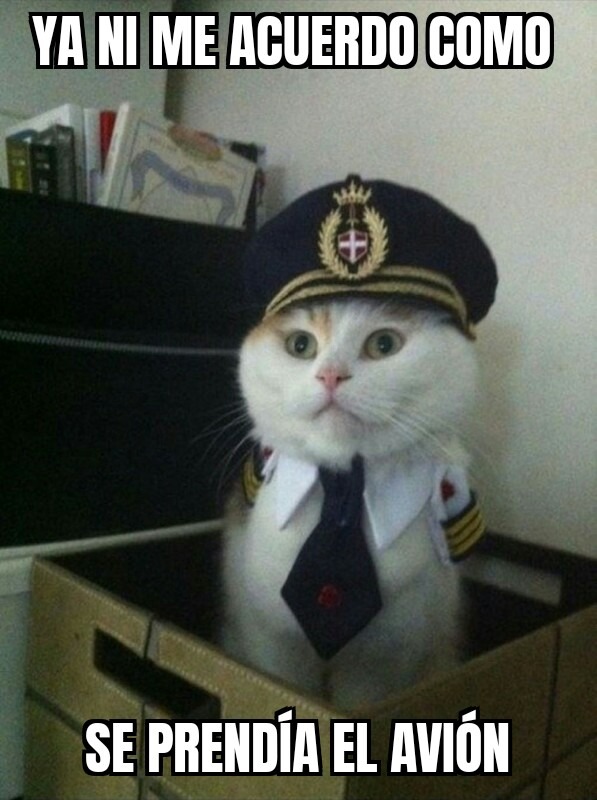 Gato piloto - meme