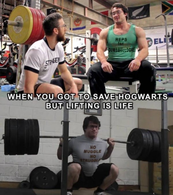 Yes, you are a bodybuilder Harry - meme