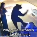 Woke Werewolves!!!!