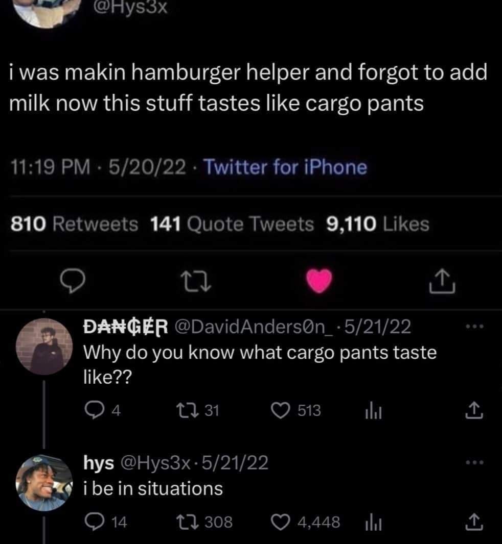 Forgot milk in Hamburger Helper, now it tastes like cargo pants - meme