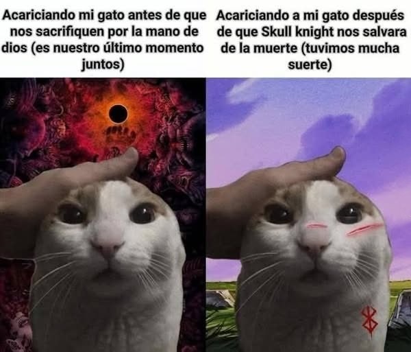 Despidiéndome de mi gato antes de que nos caiga la muerte anime style - meme