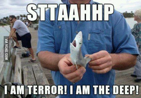 Terror shark - meme