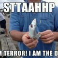 Terror shark