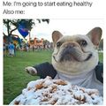 Fuck eating healthy