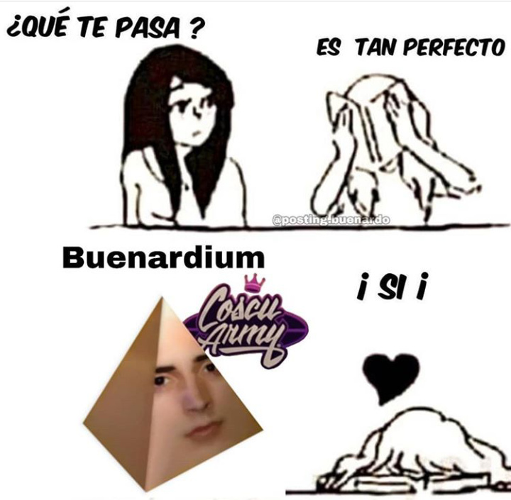 Buenardium - meme