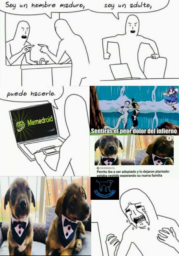 Pobre perrito - meme