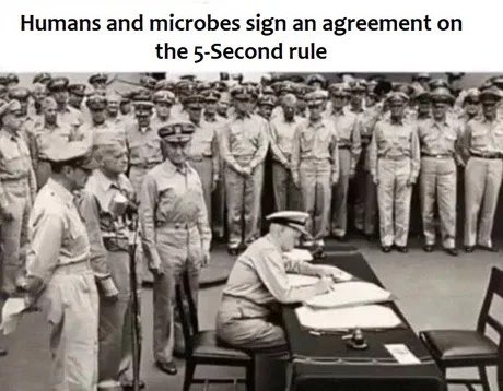 A truce was formed - meme
