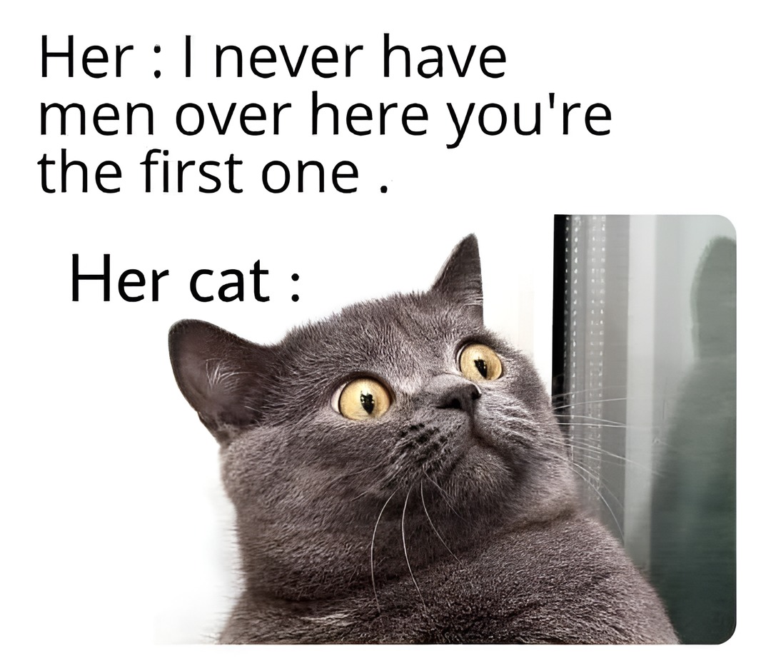 She says you are the first man she brings in but the cat is shocked - meme