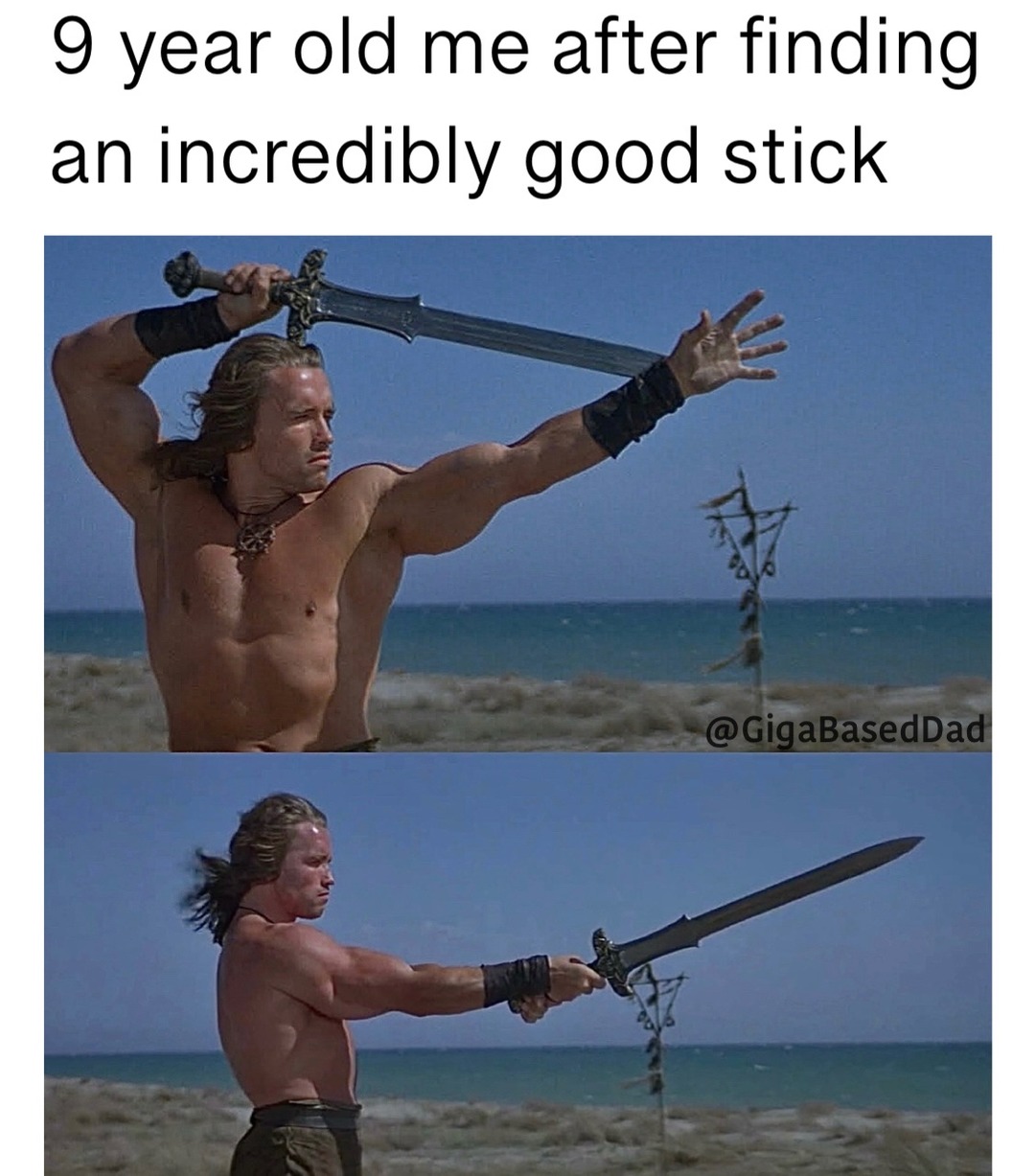 It's a very good stick - meme