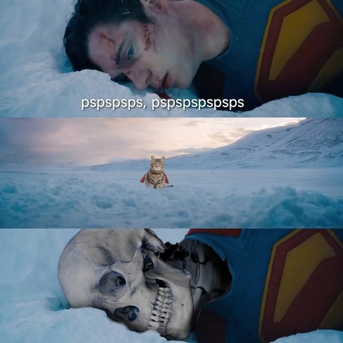 Si Krypto fuera un gato - meme