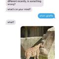 Short giraffe