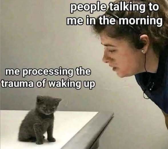 Morning talk - meme