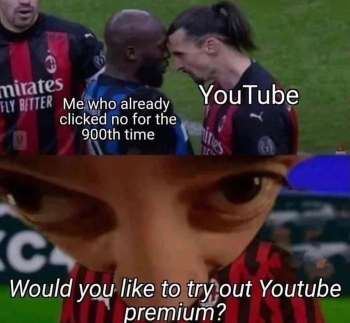 Youtube premuim - meme