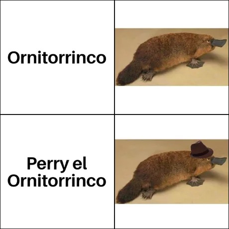 Irreconocible - meme