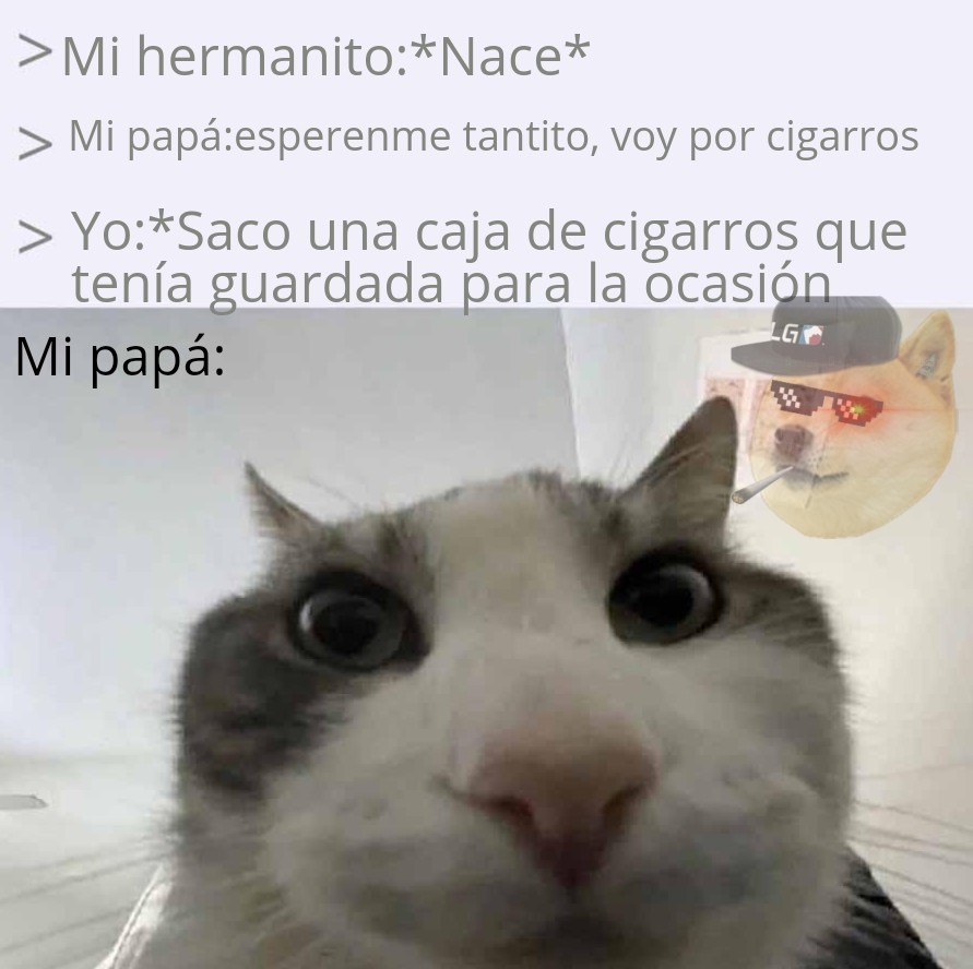 XDDDDDDDDDDD - meme