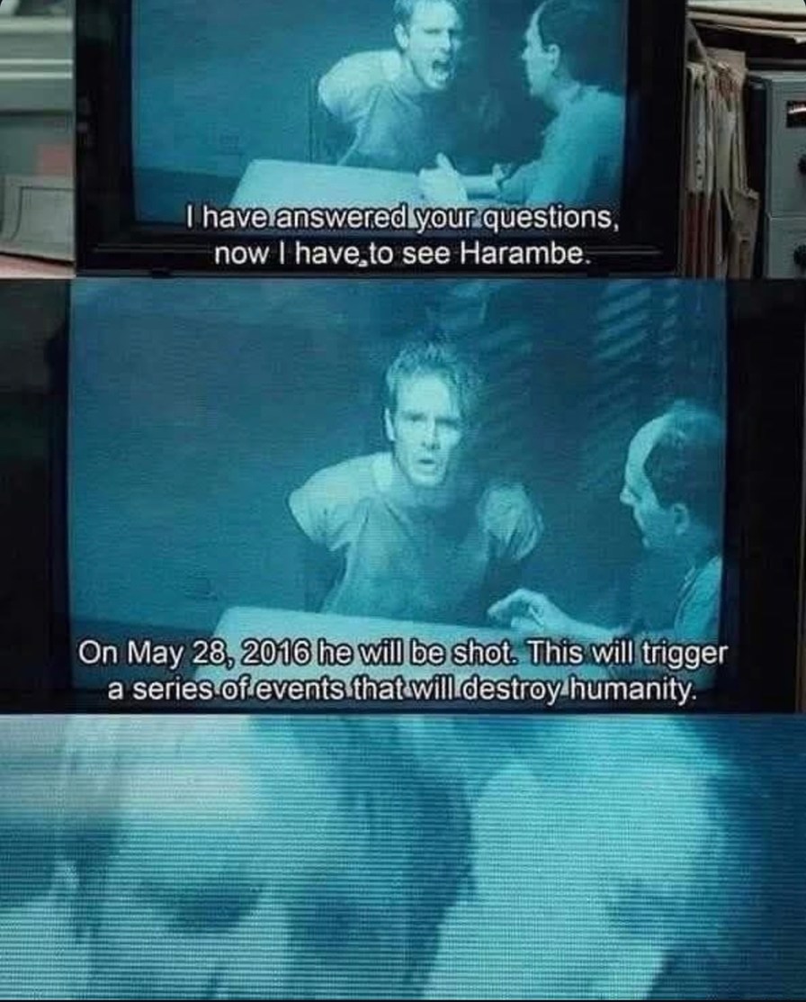 Harambe prophecy was real and we ignored it - meme