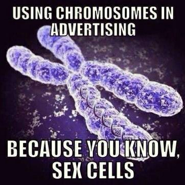 Sex cells - meme