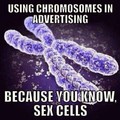Sex cells