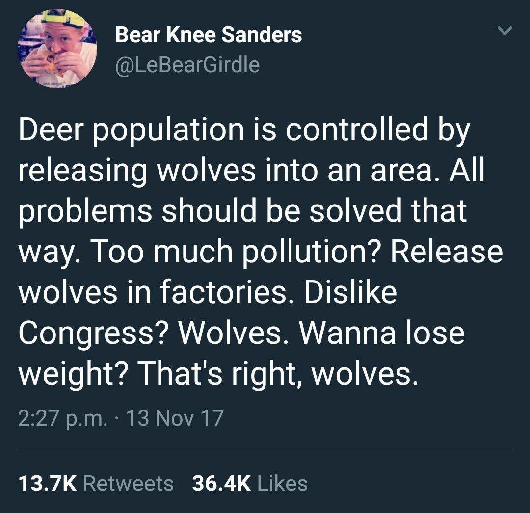 Too many furries.... Wolves might help? Maybe? - meme