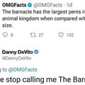 how big is danny devito ?