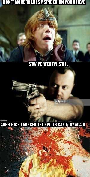 Spider on your head - meme