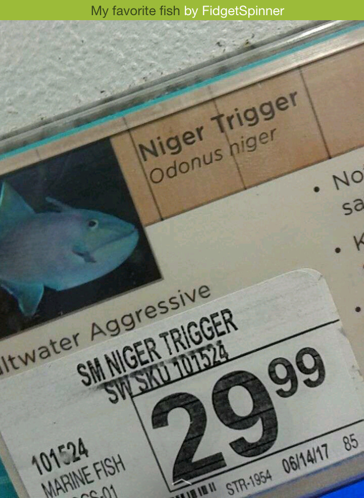The niger trigger - meme