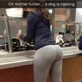 no me lo puedro creer, un perro cocinando