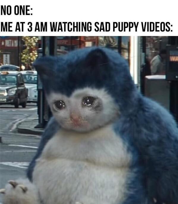 Crying over sad puppy videos - meme