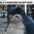 Crying over sad puppy videos
