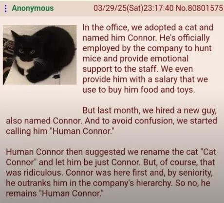 Cat Connor still outranks Human Connor and that’s corporate law - meme