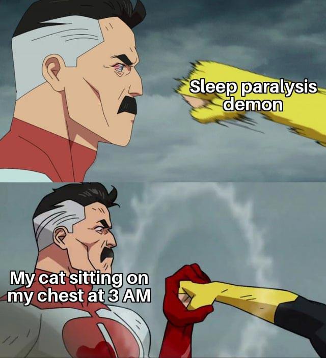 My cat at 3AM: sleep paralysis demon unlocked - meme