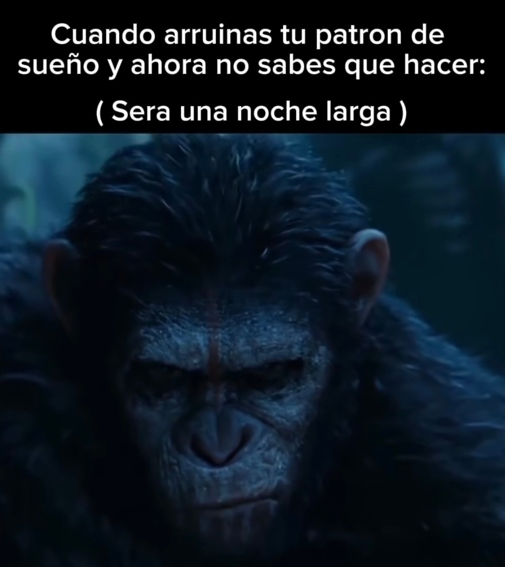 Arruiné mi horario de sueño y ahora solo queda llorar - meme