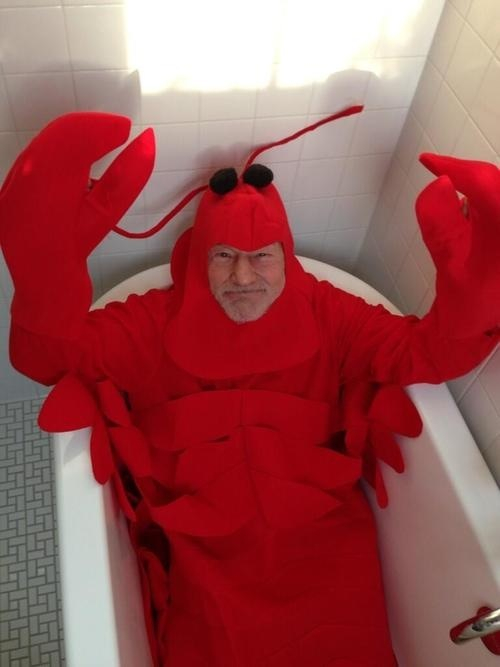 Patrick Stewart dressed as a lobster in a bathtub. Your argument was never even valid. - meme