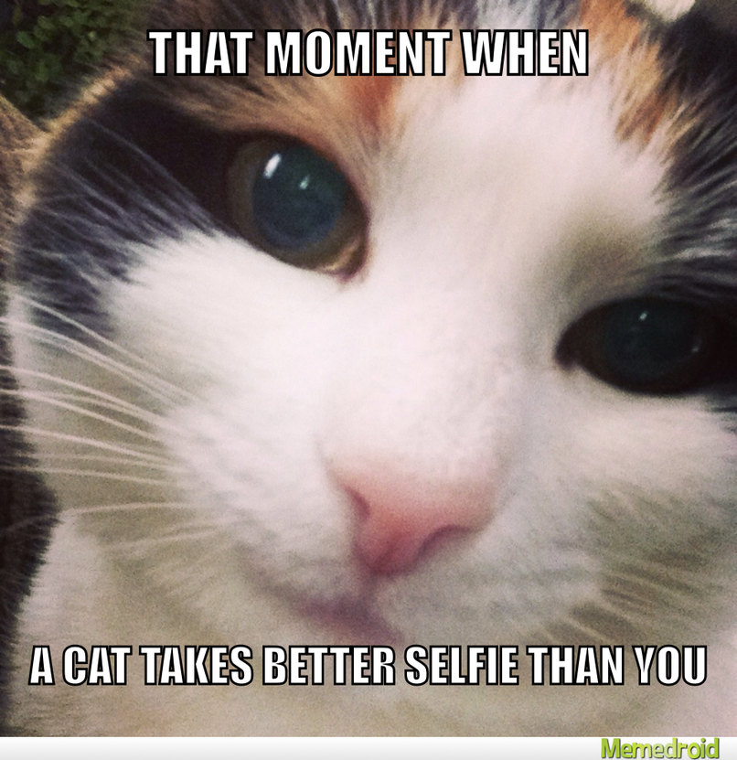 All my selfies suck :( - meme
