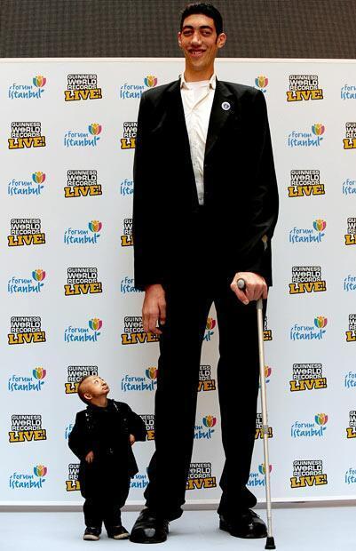 el hombre más alto del mundo y el más bajito - meme