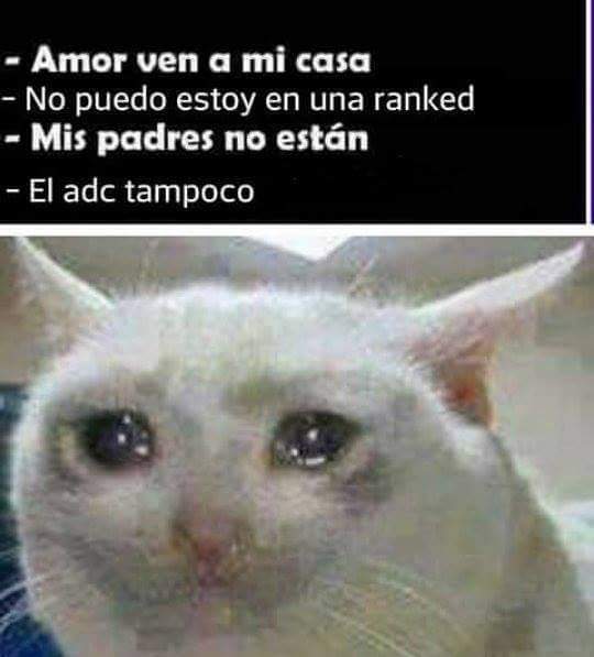 :'v Sígueme y te sigo - meme