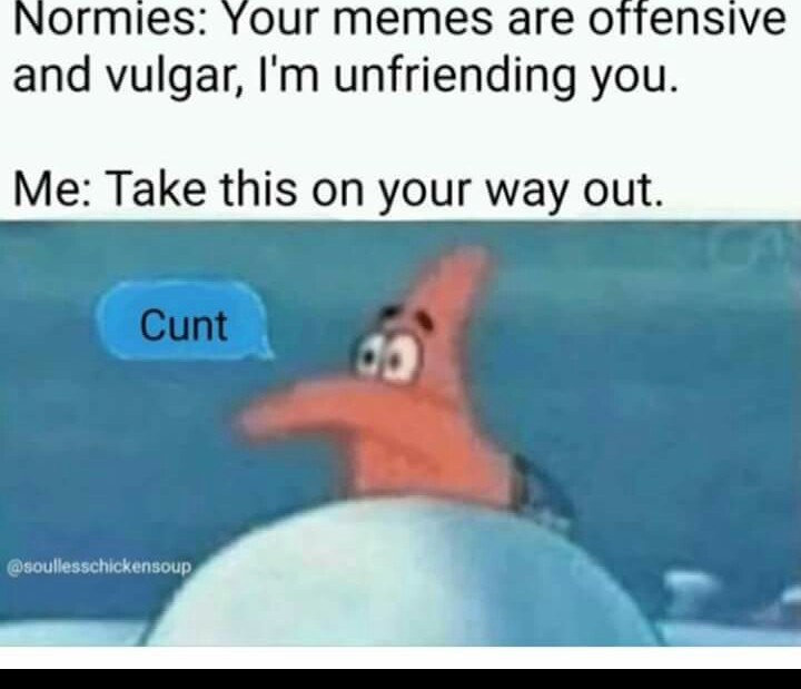 Fcking normies - meme