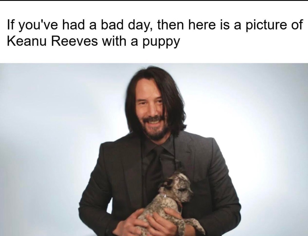 Puppy - meme