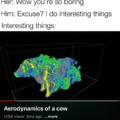 aerodynamics of a cow dank meme