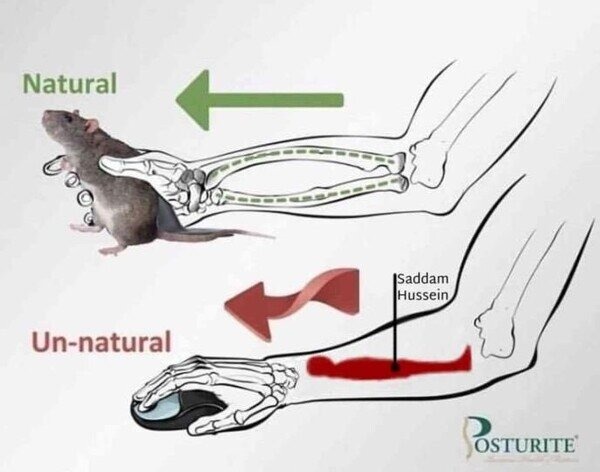 como agarrar un raton de forma natural. como agarrar un raton de forma natural. - meme