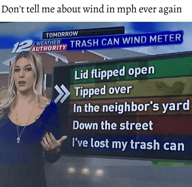 The trash pandas took it - meme