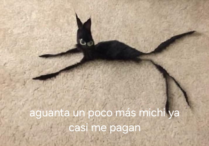 Aguanta - meme