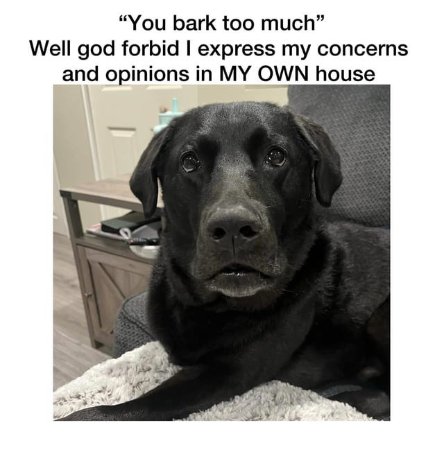 Dog says let me bark in peace, Karen - meme