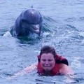 Inédito, baleia fugindo de um tubagolfinho