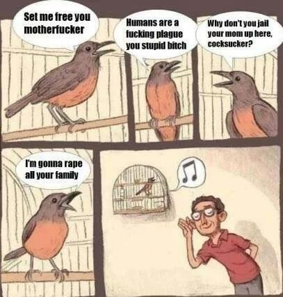 Fucking birdos - meme