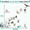 Fun vs Effort graph of Pets