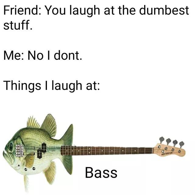 Bass base it's all the same really. - meme